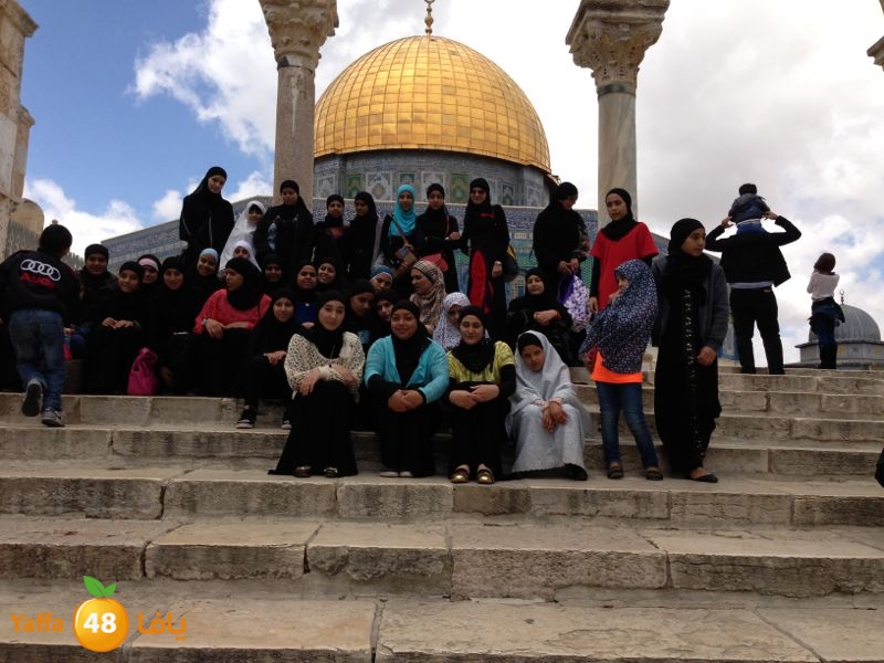 sane3atlud411 (1).jpg